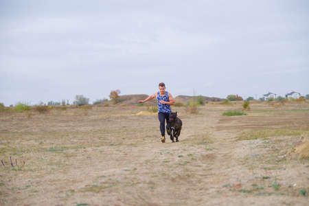 Amazing dog walking with owner outdoors. Pet concept.の写真素材