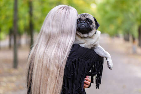 Beautiful dog walking with owner in the park. Animal concept.