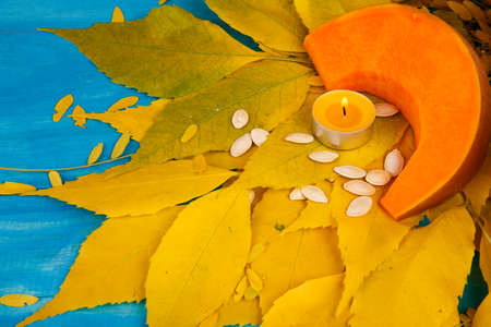 Big tasty autumn pumpkin with leaves on a blue background. Food concept.