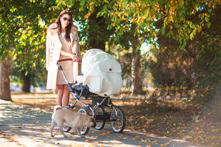 A young mother walks with a baby in a strollerの写真素材