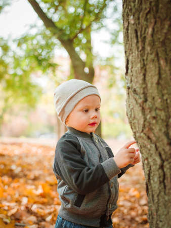 Little boy close-up in autumn in the parkの写真素材