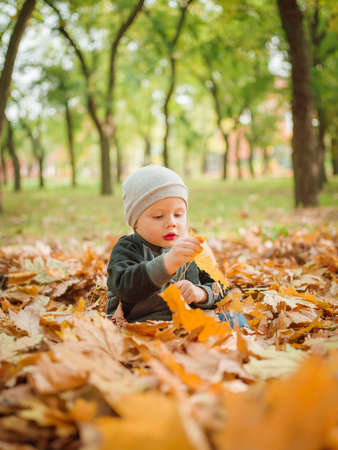 A boy is playing in a leaflet in the park