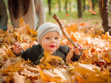 A boy is playing in a leaflet in the parkの写真素材
