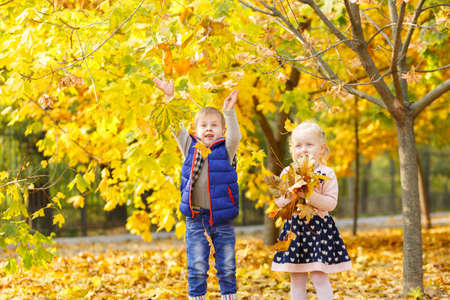 Family on a walk in the background of yellow autumnの写真素材