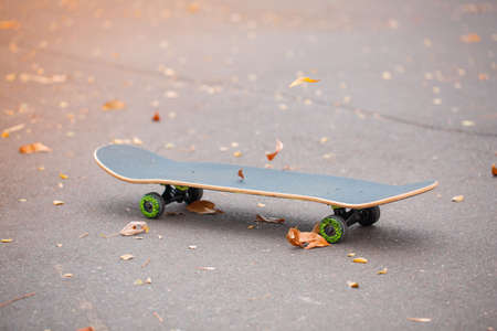 Modern skateboard lying on the road outdoors.