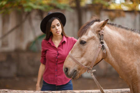 Brown horse near young brunette. Outside.の写真素材