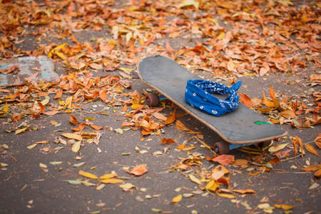 Close-up of a skateboard on which a blue bandana on the ground with autumn leaves in a skate park.