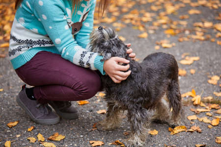 A girl is stroking a little dog. On the street.