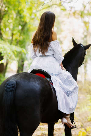 Long-haired slender brunette on horse, wiev from back. In the park. Back view.の写真素材