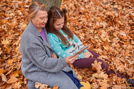 Grandmother and granddaughter are sitting in autumn leaves in park. They watch something on tablet . Outside.の写真素材