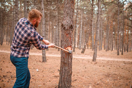 A young man chopping a tree standing with his back and flying chips