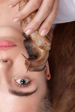 Face of white woman with snail on face close-upの写真素材
