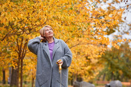 Grandmother on a walk in the autumn park with a pensive lookの写真素材