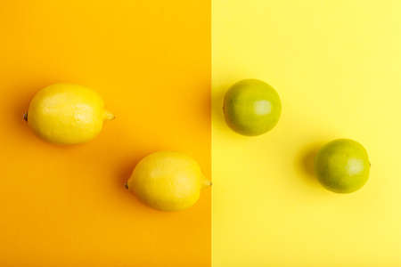 Lemon and lime on a yellow and orange backgroundの写真素材
