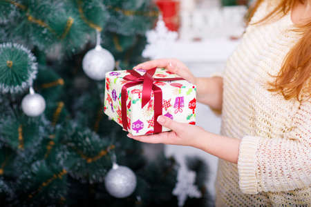 Womans hands hold a New Year present on the background of a Christmas tree.