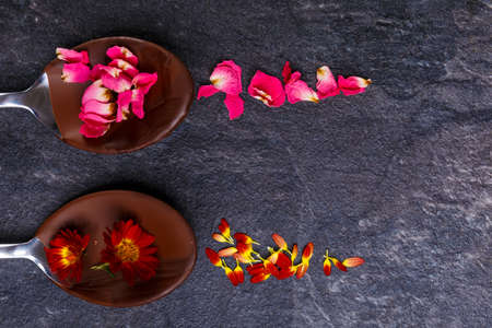 Two spoons on which dried chocolate close-upの写真素材