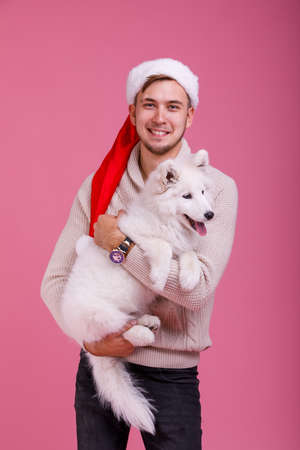 A guy holding a samoyed dog on his hands on a pink backgroundの写真素材