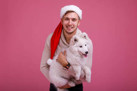 A guy holding a samoyed dog on his hands close-up on a pink backgroundの写真素材