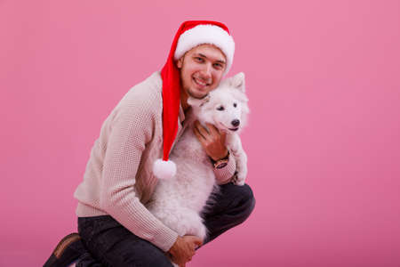 A guy embraces a samoyed on a pink backgroundの写真素材