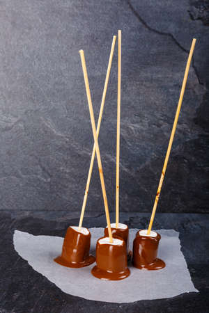 Zephyr on a stick in chocolate on a napkin lies verticallyの写真素材