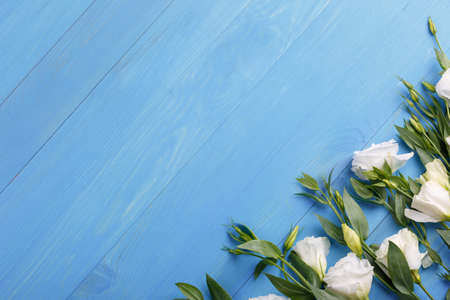 Japanese white roses with green twigs lie in a row in the right corner on a blue wooden background