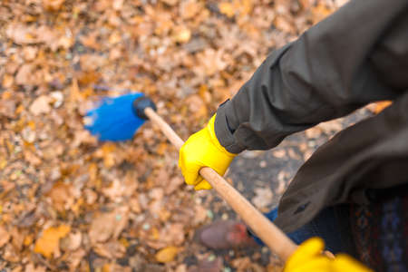 His fathers hands sweep the leaves in the parkの写真素材