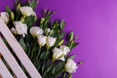 Delicate bouquet of white rose eustoma in a wooden box on a purple background. View from above.の写真素材