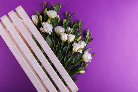 The rose eustoma in a wooden box on a purple background. View from above.の写真素材