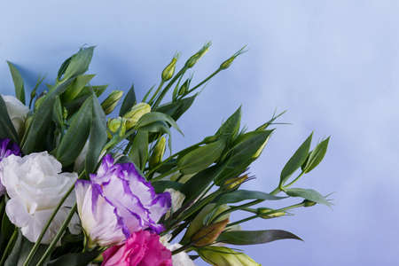 Beautiful bouquet of great multi-colored Japanese rose eustoma on a blue background. Side view....