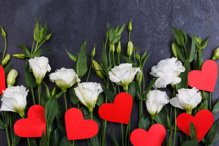 Roses lie in a row on a stone backgroundの写真素材