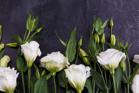 Roses lie in a row close-up on a stone background. View from aboveの写真素材