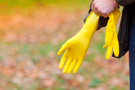 A man in an autumn park, in the open air, puts on rubber, yellow gloves on his hand, to harvest the fallen leaves.の写真素材