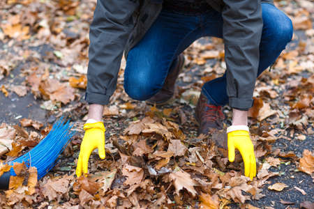 Close-up of a man's hand in yellow rubber gloves removes autumn fallen leaves, in the park.