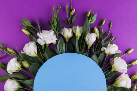 Roses lie in a semicircle close-up on a purple background. View from aboveの写真素材