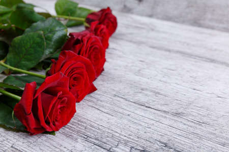 Red roses on a wooden gray board, are located on the right, flowers without an occasion, free space for text.の写真素材
