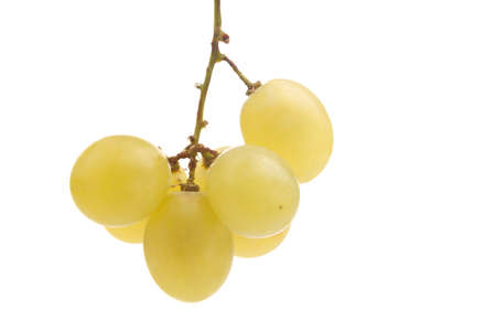 A few hanging berries from grapes. Isolated on white background.の写真素材