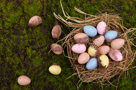 Easter background with colorful quail eggs and feathers in a bird's nest. Top view, natural green grass background.の写真素材