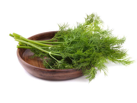 A bunch of dill on the plateの写真素材