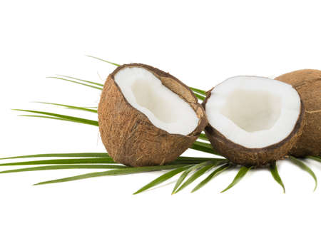 A close-up picture of chopped in half and whole coconuts isolated on white background. The concept of exotic fruits with leaves full of vitamins.の写真素材