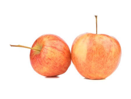 Two juicy, fresh and organic apples isolated on a white background. Healthy fruits full of vitamins.の写真素材