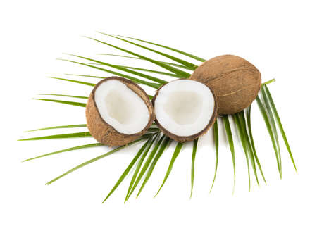A close-up picture of chopped in half and whole coconuts isolated on white background. The concept of exotic fruits with leaves full of vitamins.の写真素材