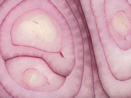 Raw fresh and red sliced onion rings as a background. A concept of healthy vegetables full of vitamins.の写真素材