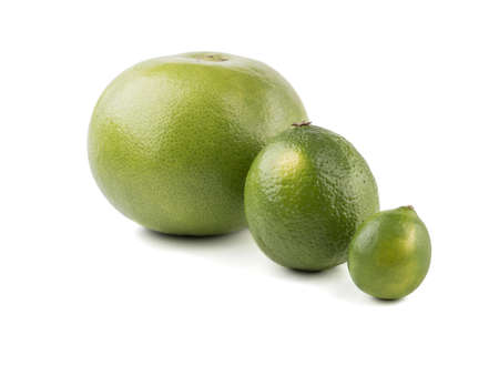 A big green whole varietal grapefruit and two lime isolated on white background. A concept of citrus fruits full of vitaminsの写真素材