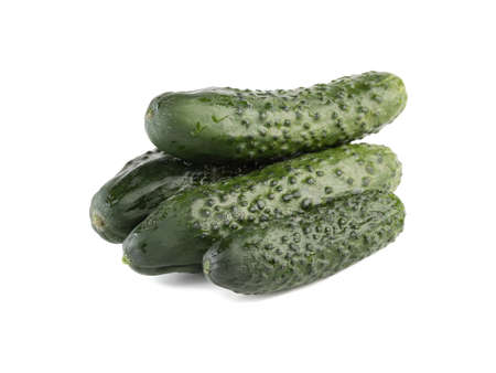 A group of whole cucumbers isolated on white background, close up. The concept of ripe and fresh vegetables.の写真素材