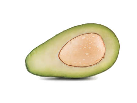 A fresh sliced avocado with stone isolated on white background, close-up. The concept of healthy foodの写真素材
