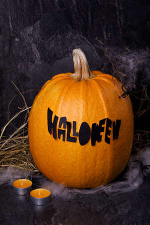Halloween pumpkin with candles, spiders, web, horror stories on a dark background, closeup. The concept of autumn holidays.の写真素材
