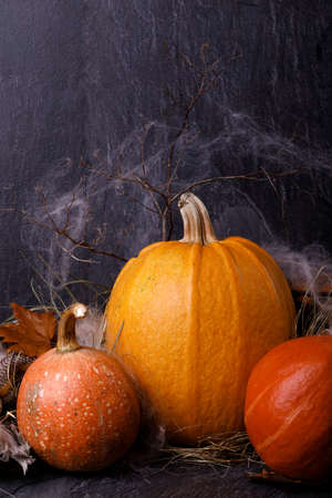 Closeup of Halloween pumpkin heads. Three orange gourds on a dark background. The concept of autumn holidays.の写真素材