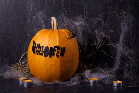 Halloween pumpkin with candles, spiders, web, horror stories on a dark background, closeup. The concept of autumn holidays.の写真素材