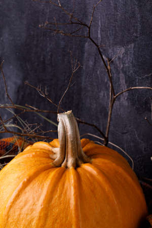 Closeup of Halloween pumpkin head. Bright orange gourds on a dark background. The concept of autumn holidays.の写真素材
