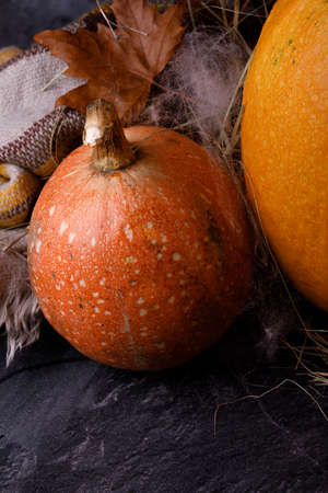 Closeup of Halloween pumpkin head. Bright orange gourds on a dark background. The concept of autumn holidays.の写真素材